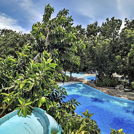 Dominiks Quite And Elegant Studio Ocean View Pool At Tambuli Resort High Floor Lapu-Lapu City Exteriör bild