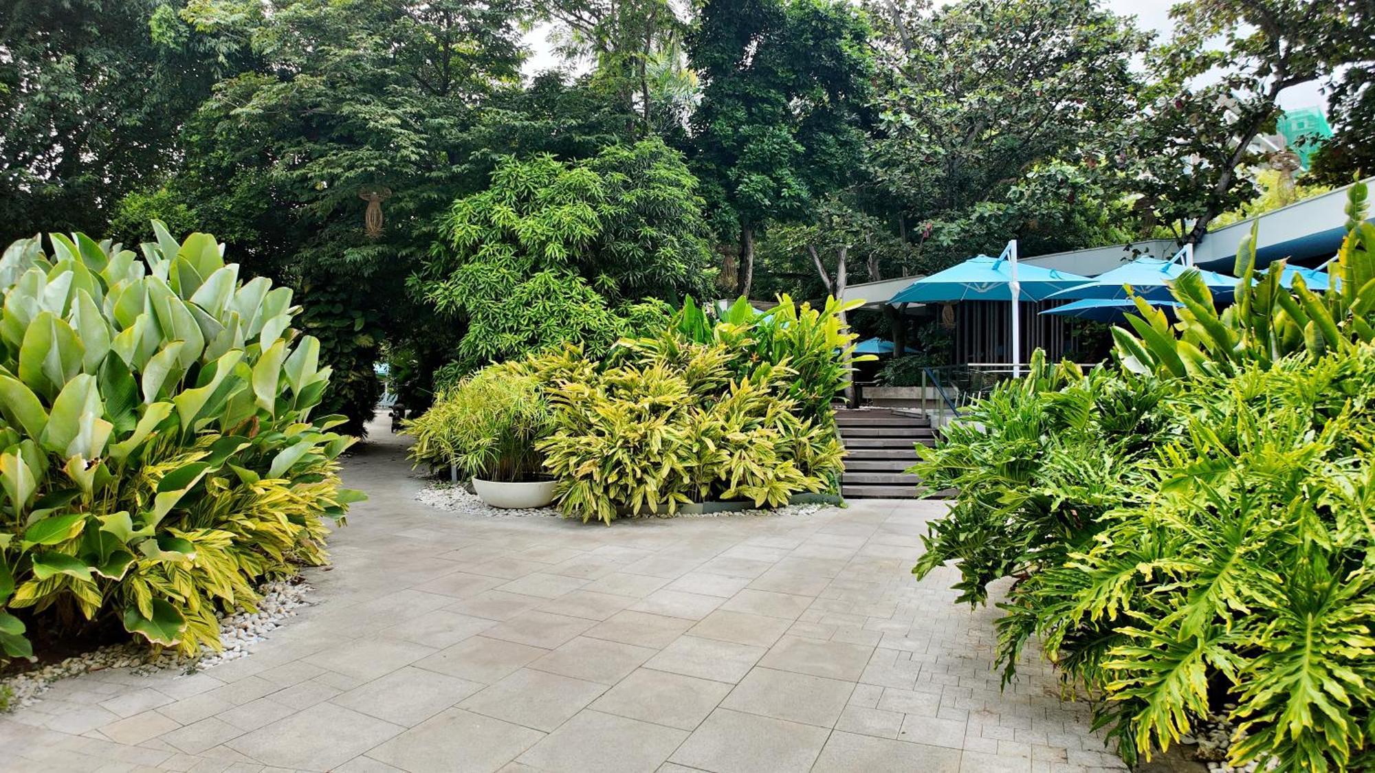 Dominiks Quite And Elegant Studio Ocean View Pool At Tambuli Resort High Floor Lapu-Lapu City Exteriör bild